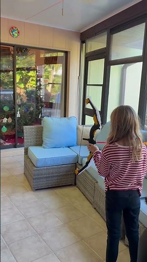 Light-Up Archery Adventure for Kids