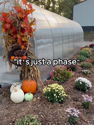 Sustainable Greenhouse Gardening: Year-Round Fresh Harvests