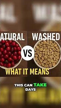 Coffee Processing: Natural vs. Washed for Ultimate Flavor