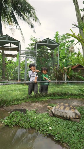 Happy kids, happy vibes! 🌈 Our kids jersey is available now—made for fun and perfect for every happy move and playful moment 💚 Let them play, laugh, and shine with Super Elja 🦅⚽ #PSS #PSS_Store #Scorelab