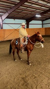 Getting started in the hackamore #kipfladlandhorsemanship #horsemanship #horsesofinstagram | Kip Fladland Horsemanship