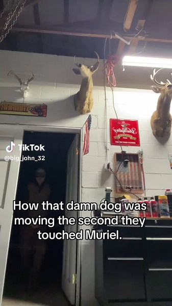 Anyone else ever watch courage I forgot to ask the computer what to do. #couragethecowardlydog #courage #dog#monster #muriel