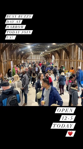 Duck Pond Market on Reels