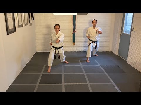 Karate training: full class, hips: punches and kicks