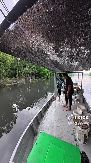 Garmin Side View Fishfinder: Enhance Your Fishing Skills