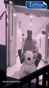 102K views · 6.1K reactions | THE 1975 LIVE IN MANILA WATCH: Entrance you say? Here are The 1975 band members making their way to the concert stage! | via Pauline Songco #THE1975inManila #DailyTribune | Daily Tribune | Facebook