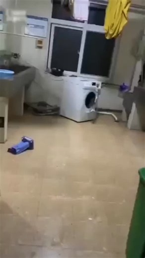 🧺 Say Goodbye to Vibration & Noise! The Washing Machine Feet Pads keep your appliance stable & your floor safe. ✅ Strong Grip | Reduces Movement | Pashmart