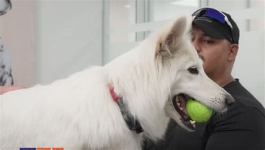 Conoce a los protagonistas de hoy en "Acción Animal"