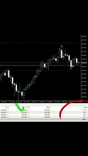 Forex Trading Explained | How to Follow Signals the Right Way