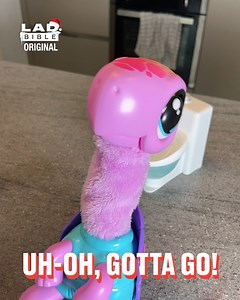 9.3M views · 37K reactions | This is the best toy ever  | LADbible | Facebook