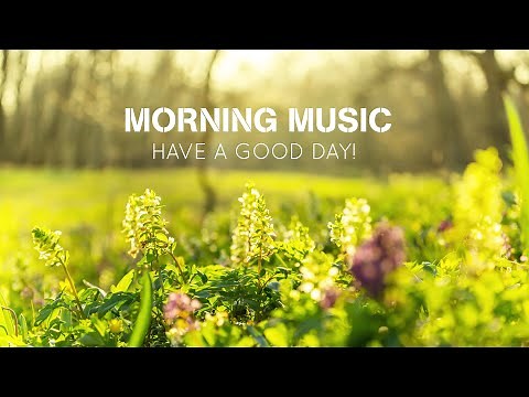 Morning Relaxing Music - Piano Music for Stress Relief and Studying - Soft Peaceful Birds Singing