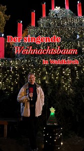 3.6K views · 192 reactions | Der singende Weihnachtsbaum in Waldkirch ist wirklich ein Traum! ✨ Über 10 Meter hoch und auf ihm wundervolle Auftritte von Chören aus Waldkirch. Das ganze findet statt bis zum 14 Dezember & direkt daneben befindet sich ein kleiner süßer Weihnachtsmarkt.  #weihnachten #singenderweihnachtsbaum #südbaden | baden.fm | Facebook