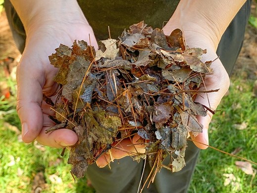 How to Make Shredded Leaf Mulch Fast: WORX Leaf Mulcher Review