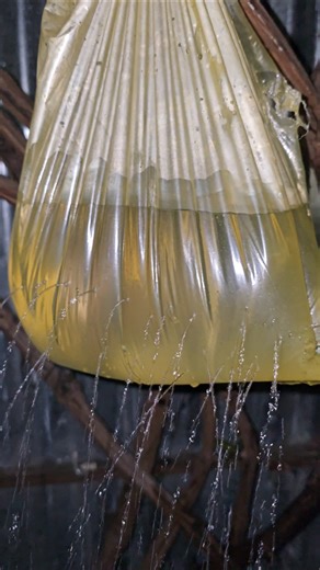 🚿 Washing Hair with a DIY Polythene Shower! 😲 | Survival Hack Using Shampoo 💧🔥#shorts