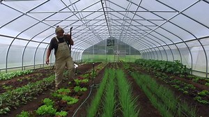 21 reactions | LAST DAY to REGISTER! - Join Conor Crickmore and thousands farmers from around the world learning to maximize production in their vegetable operation. | Neversink Farm | Facebook