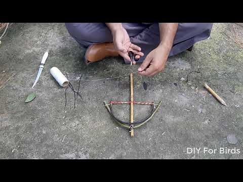 How to make Bird Trap at home | DIY Homemade Bird trap