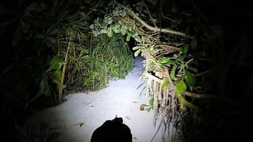 mini keychain flashlight