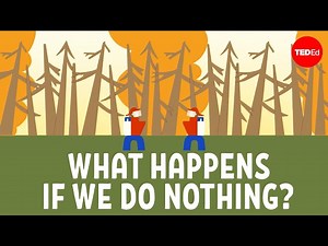 What Earth in 2050 could look like - Shannon Odell - Videos For Kids