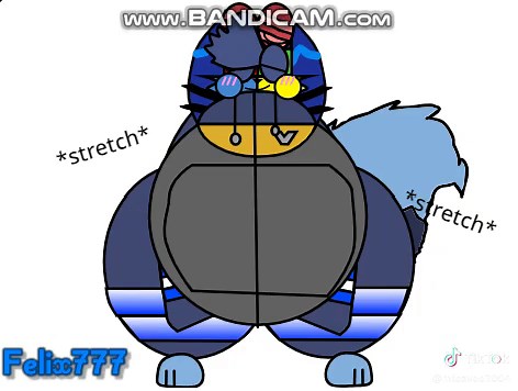 Zippy The Blueberry Cat on TikTok