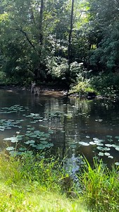 beautiful! thank you | Asher Roth