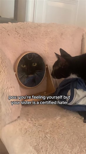 Wanda's Mirror Moment: A Sisterly Judgment