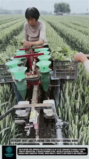 Efficient Vegetable Planting Tool for Fast Farming Work #tools