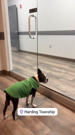 Robert J. Pike on Reels