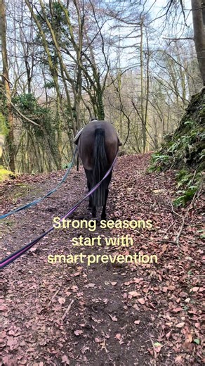 Strong seasons start with smart prevention! Just because your horse is working less, doesn’t mean keeping up their maintenance isn’t essential! The quite period is the perfect time to address those little imbalances before they turn into major setbacks, whist building the bond between you and your horse. Helping to keep joints healthy, muscles balanced and movement smooth means you have a happier and healthier horse when the season kicks off. Don’t wait for pain to appear, book in a check up tod