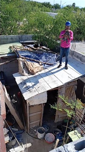 #shorts Rescue of a Mangy Dog