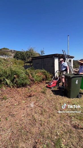 Gardening update: finishing the back garden project