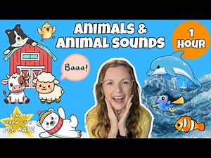 Toddler Learning - Animals & Animal Sounds | Farm, Zoo, Ocean | Preschool & Kids Educational Video