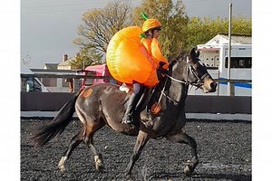 Halloween horse costumes