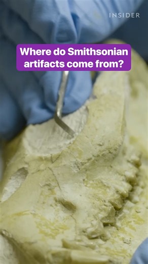 25K views · 124 reactions | Do you know how the Smithsonian gets its artifacts? #Smithsonian #museum #artifacts | Insider Science | Facebook