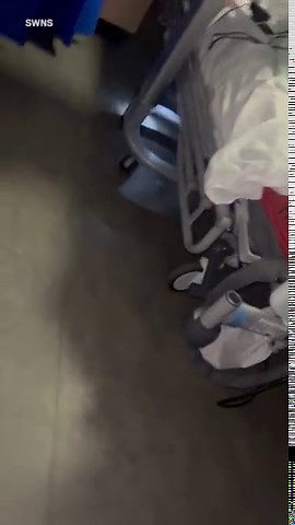 Horrific video shows mouse running around hospital ward