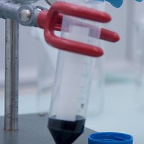 Video: On the Preparation and Testing of Fuel Cell Catalysts Using the Thin Film Rotating Disk Electrode Method