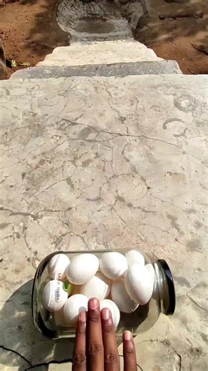 Clean Glass Bottle Break Sound for ASMR Lovers