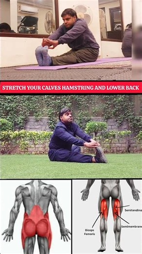 Stretch for Lower Back & Hamstring #stretching #pain #relief #shorts #reels #fyp #gym #mobility♥️