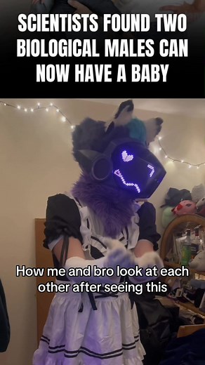 Can Twinks Get Pregnant? Furry Myths Explained