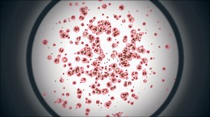 Embryonic Mitosis Stem Cells Colony Tissue Stock Motion Graphics SBV-337710527 - Storyblocks