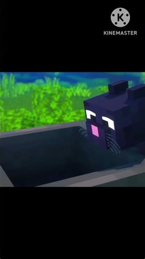 intelligent cat in minecraft 🧐 #roblox #minecraft #shorts