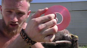 2.4K views · 25 reactions | Burnt sweaty skin and an easy way of fletching arrows! | Orskov Hunting | Facebook