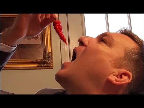 Death Spiral Super Hot Pepper - 1.2 - 1.3 Million Scoville Heat Units
