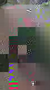 45K views · 2.9K reactions | Take a stroll through Grace’s Bird Garden with Bindi and discover why this place is so special列 | Australia Zoo | Facebook