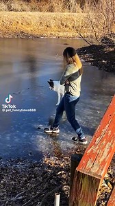 3.1K views · 34 reactions | Funny Pets ❤️ | Jersey Girls Life | Facebook