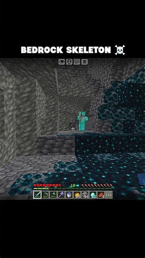 Java Vs Bedrock Skeleton ☠️