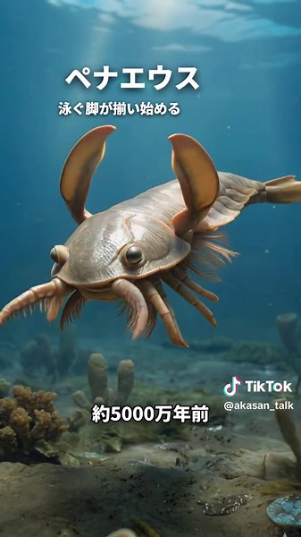 エビの進化の軌跡・ ・ ・ 地球上のあらゆる生き物には、想像を絶する長さの歴史がある。 私たちが何気なく見ている動物たちは、数億年という時間をかけて今の姿にたどり着いた。 環境が変わるたびに体を変え、絶滅の淵を何度もくぐり抜けながら、少しずつ今の形に近づいてきた生き物たちだ。 このアカウントでは、AIを使ってさまざまな動物の進化の軌跡を可視化していく。 最初の姿は、今の姿とはほど遠い何かだ。 それがどう変化して今に至るのか。 教科書では一行で終わる話が、映像になると全然違う重さを持つ。 長い時間をかけて積み重なった変化を目で追っていくと、進化というものが突然リアルに感じられる瞬間がある。 知れば知るほど、目の前の生き物の見え方が変わってくる。