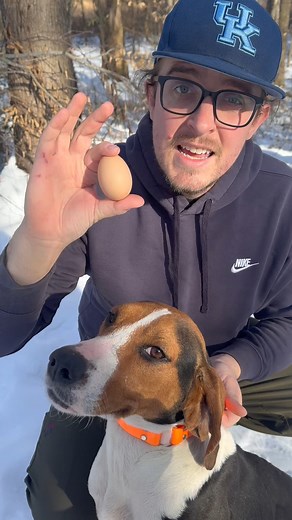 72K views · 1.1K reactions | Is It Safe to Feed My Dog a Raw Egg? #dogs #egg #farmlife #farm #animals #veterinarian | Fishin’ with Tate | Facebook