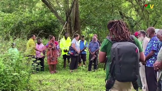 VBTC French News Date: 14/11/25 #VBTC_Nius #TBV | VBTC Live