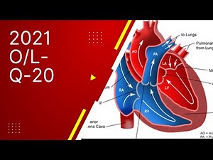2021 O/L Science paper answers-MCQ answers- Question number 20-Sinhala medium
