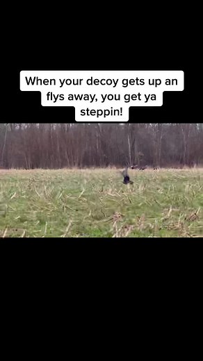 Decoy Use in Turkey Hunting: Tips and Tricks